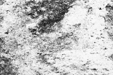 Similar image 13198395