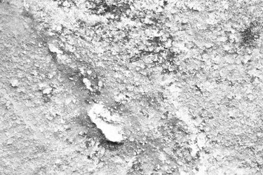 Similar image 13198413