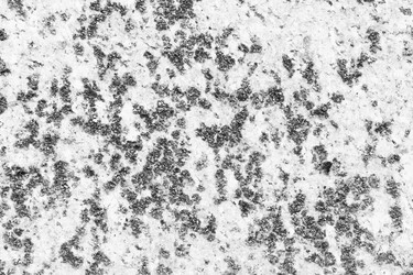 Similar image 13198434