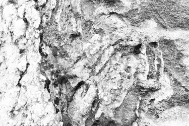 Similar image 13198436