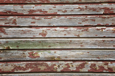 Similar image 13198454