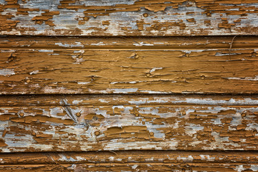 Similar image 13198455