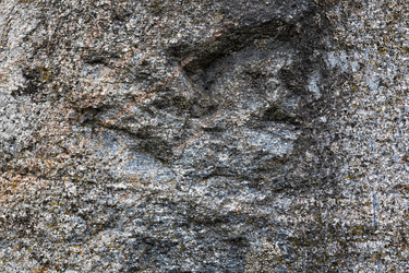 Similar image 13198468