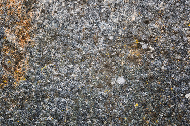 Similar image 13198471