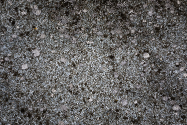 Similar image 13198490