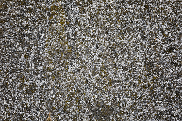 Similar image 13198491