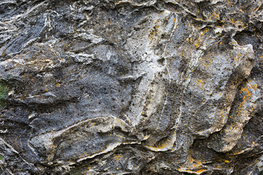 Similar image 13198492