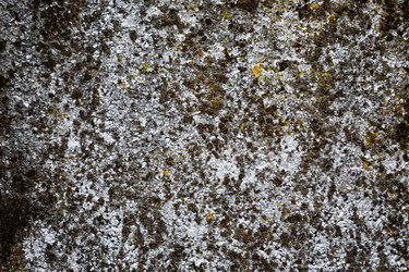 Similar image 13198495