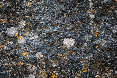 Similar image 13198508