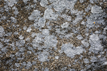 Similar image 13198510