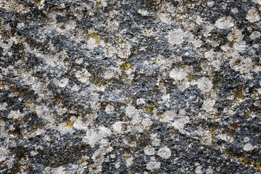 Similar image 13198512