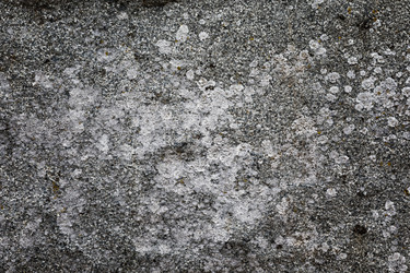 Similar image 13198555