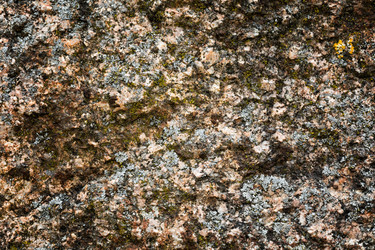 Similar image 13198567