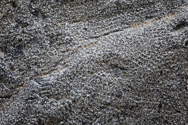 Similar image 13198571