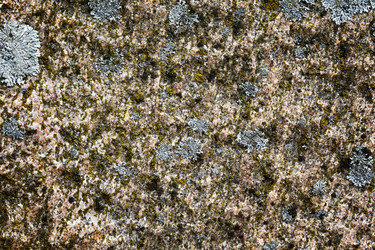 Similar image 13198572