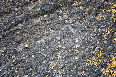 Similar image 13198576