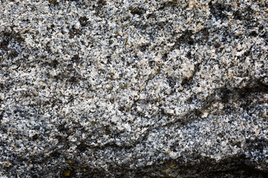 Similar image 13198203