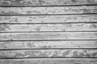 Similar image 13198240