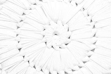 Similar image 13198264