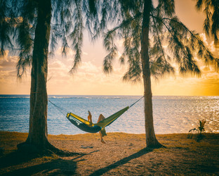 Similar image 13216175