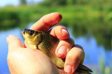 Similar image 13204582