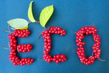 Similar image 13204584