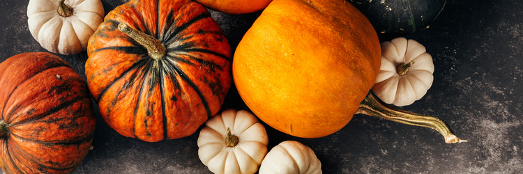 Similar image 13207590