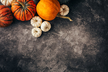 Similar image 13207599