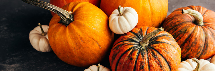 Similar image 13207600