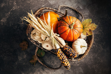 Similar image 13207603