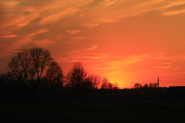 Similar image 13203875