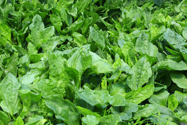 Similar image 13203876