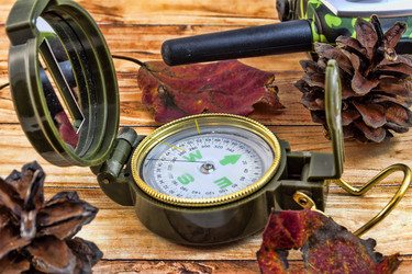 Similar image 13204165