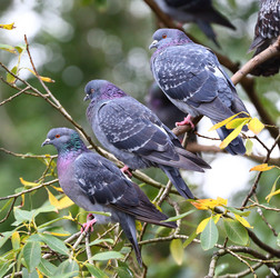 Similar image 13200216