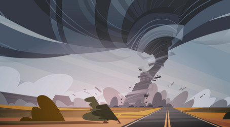 Similar image 13205454