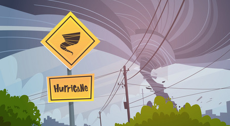 Similar image 13205465