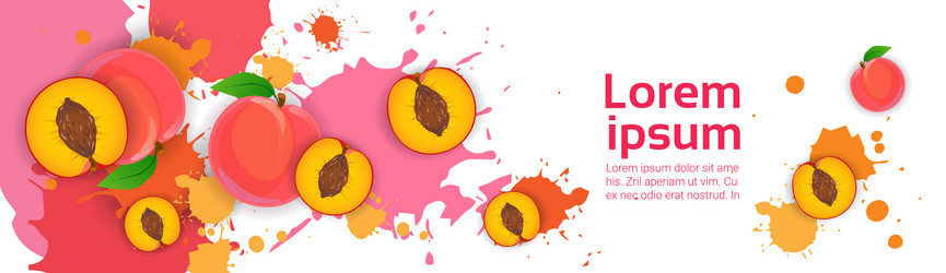 Similar image 13206262