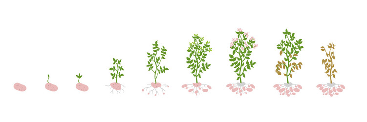 Similar image 13208256