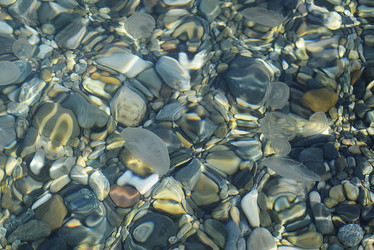 Similar image 13200633