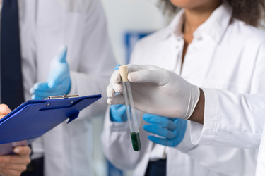 Similar image 13206604