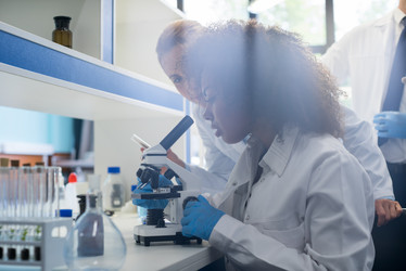 Similar image 13206644