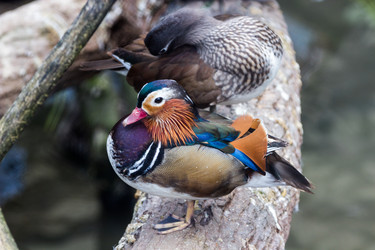 Similar image 13211313