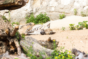 Similar image 13211315