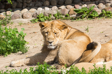 Similar image 13211316