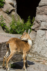 Similar image 13211317