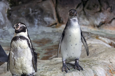 Similar image 13211319