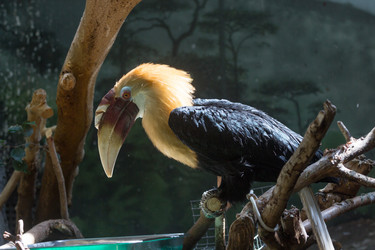 Similar image 13211334