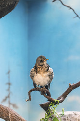 Similar image 13211335