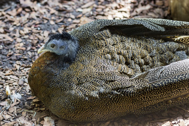 Similar image 13211337