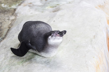 Similar image 13211338